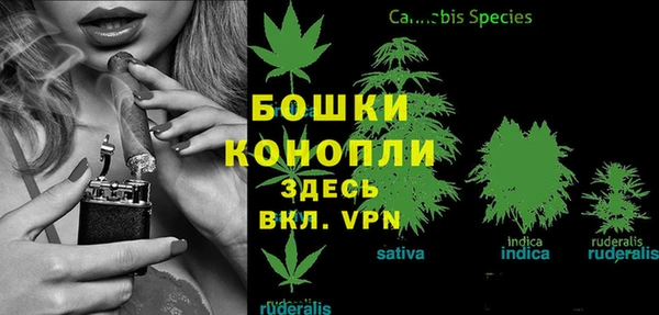 соль ск Зеленодольск