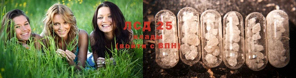 бошки Зеленокумск
