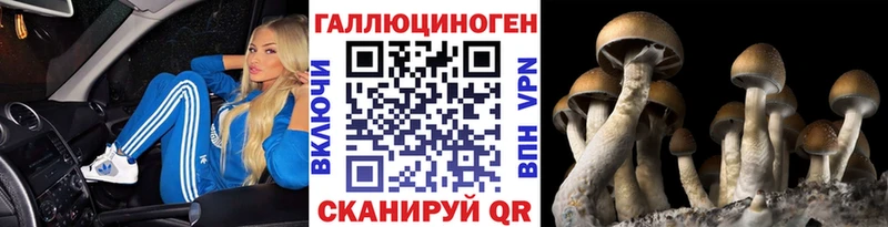 Купить  Бутурлиновка  Псилоцибиновые грибы ЛСД 